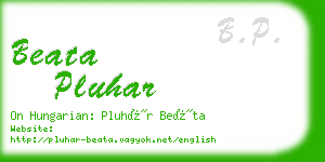 beata pluhar business card